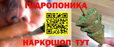 прущие крисы Можга