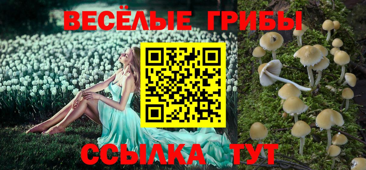 Галлюциногенные грибы мицелий Якутск